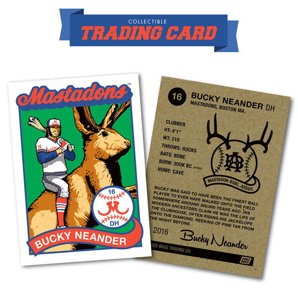 Pearl Jam 2016 Fenway Park 